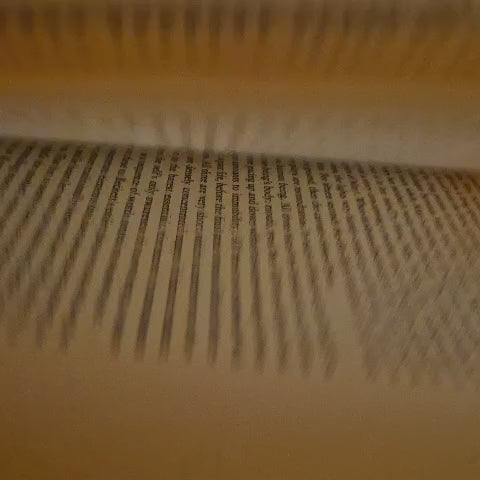 'Meditations' by Martin Esslin