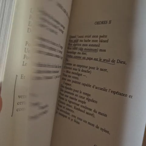 'Dérisions et Vertige: trouvures' by Jean Sénac (French)