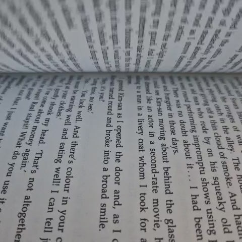 'The Girl I Left Behind' by Shusaku Endo