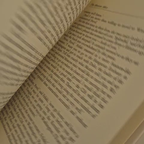 'The Kremlin Cat and the Bomb' by K. G. Babbington