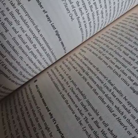 'A Supposedly Fun Thing I'll Never Do Again' by David Foster Wallace