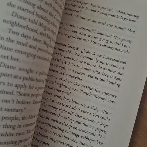 'Mislaid' by Nell Zink