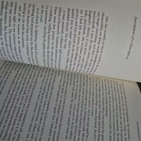 'Facing Texts: Encounters Between Contemporary Writers and Critics' edited by Heide Ziegler