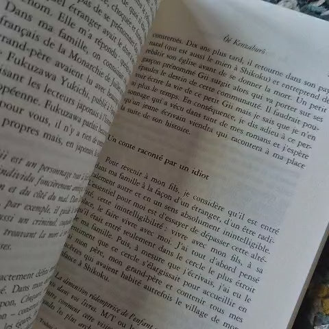 'La Nouvelle Revue Française: 2000' by Various Authors (French)