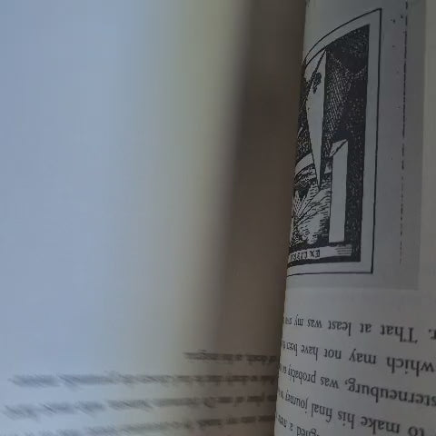 'Vertigo' by W. G. Sebald