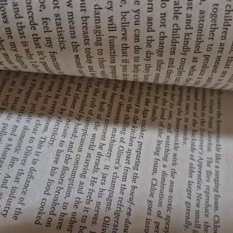 'Female Friends' by Fay Weldon