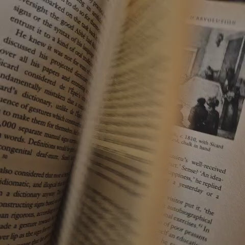 'I See a Voice: Language, Deafness and the Senses: A Philosophical History' by Jonathan Rée