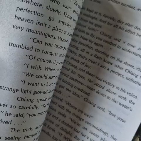 'Illusions' & 'Jonathan Livingston Seagull' by Richard Bach