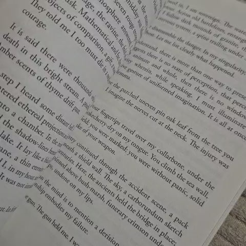 'Today Yesterday After My Death' by Maureen Alsop