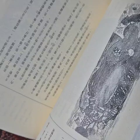 'Gyroscope Life' by Zhou Yudong (Chinese)