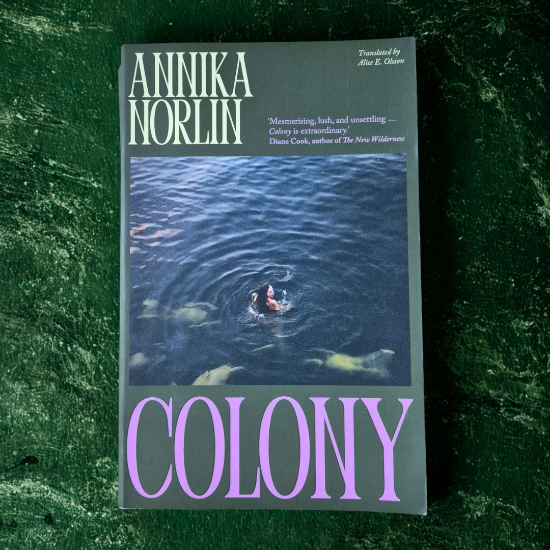 'Colony' by Annika Norlin