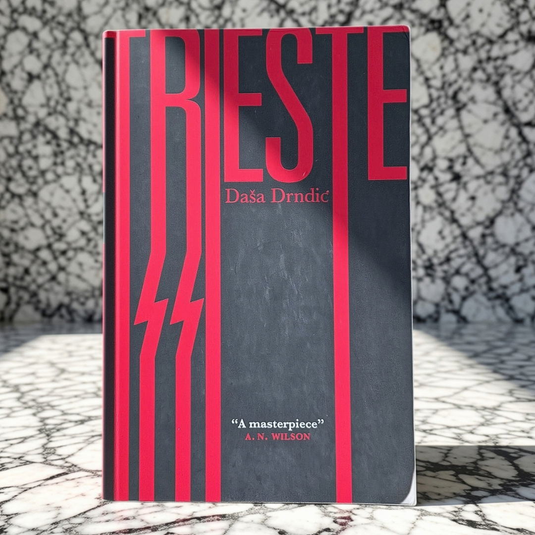 'Trieste' by Daša Drndić