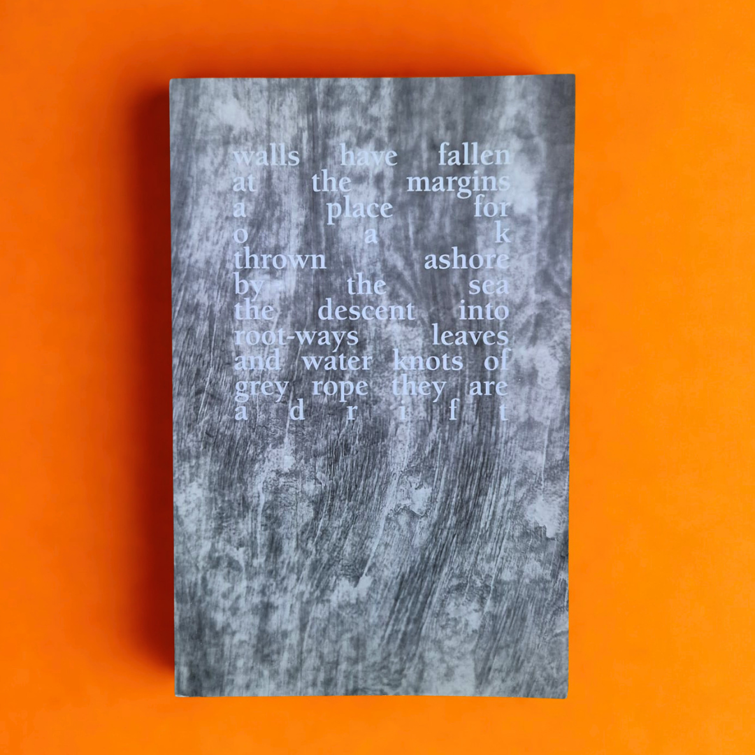 'Field Notes (Volume One)' by Autumn Richardson & Richard Skelton