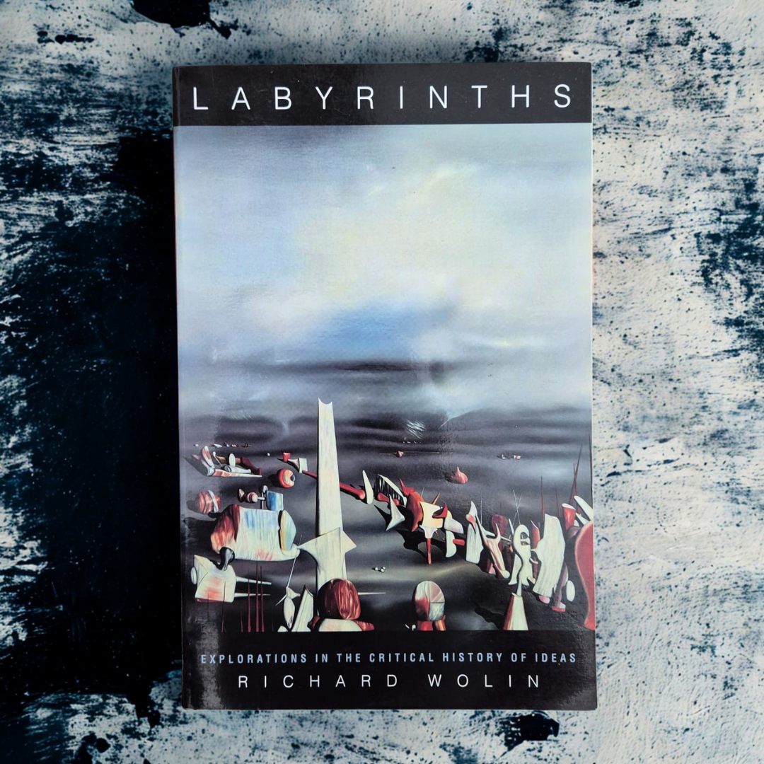 'Labyrinths: Explorations in the Critical History of Ideas' by Richard Wolin